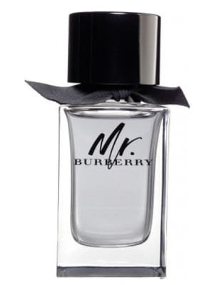Burberry Burberry Mr. Eau de Toilette 100ml