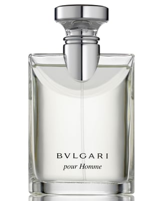 Bvlgari Bvlgari Pour Homme Eau de Toilette 100ml Spray