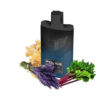Police Police Deep Blue Eau de Toilette 100ml
