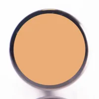 L'Oreal L'Oréal Paris The Touche Magique True Match Anti-Fatigue Illuminating Concealer – Ivory Beige