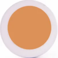 L'Oreal L'Oréal Paris The Touche Magique True Match Anti-Fatigue Illuminating Concealer – Warm Beige
