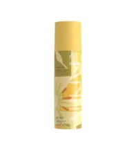 Arkive Arkive The Reset Brightside Dry Shampoo200 ml, 200ml