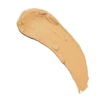 Revolution Revolution Fast Base Stick Foundation – F6