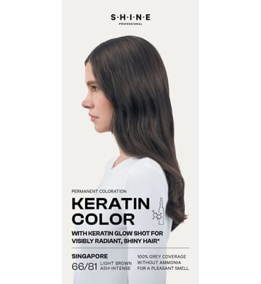 Shine Shine Professional Permanent Hair Dye Light Brown Ash-Intense Singapore