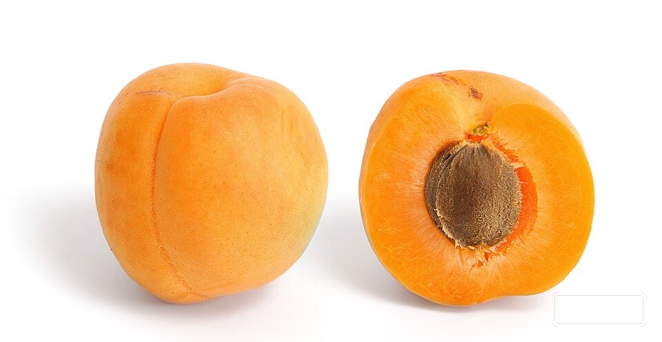 Apricot oil — Apricot oil is cold-pressed from the kernels (seeds) of the apricot fruit, Prunus armen… | UK Lips ingredient guide