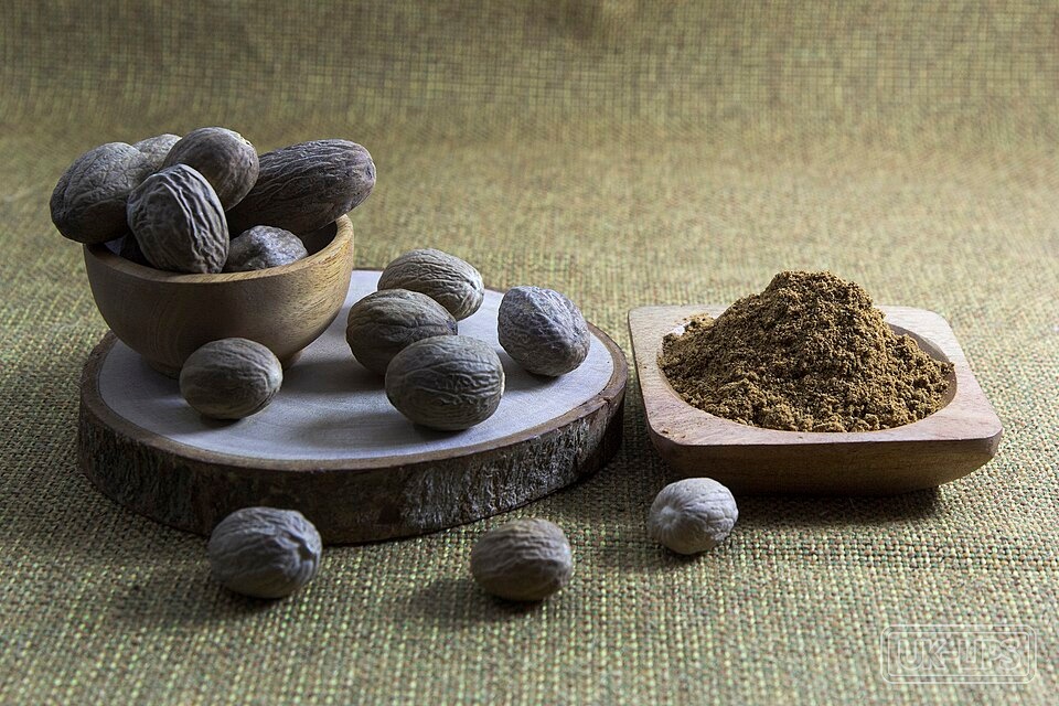 Cocoa Seed Butter — Cocoa seed butter is obtained from the seeds (beans) of the Theobroma cacao tree, nativ… | UK Lips ingredient guide