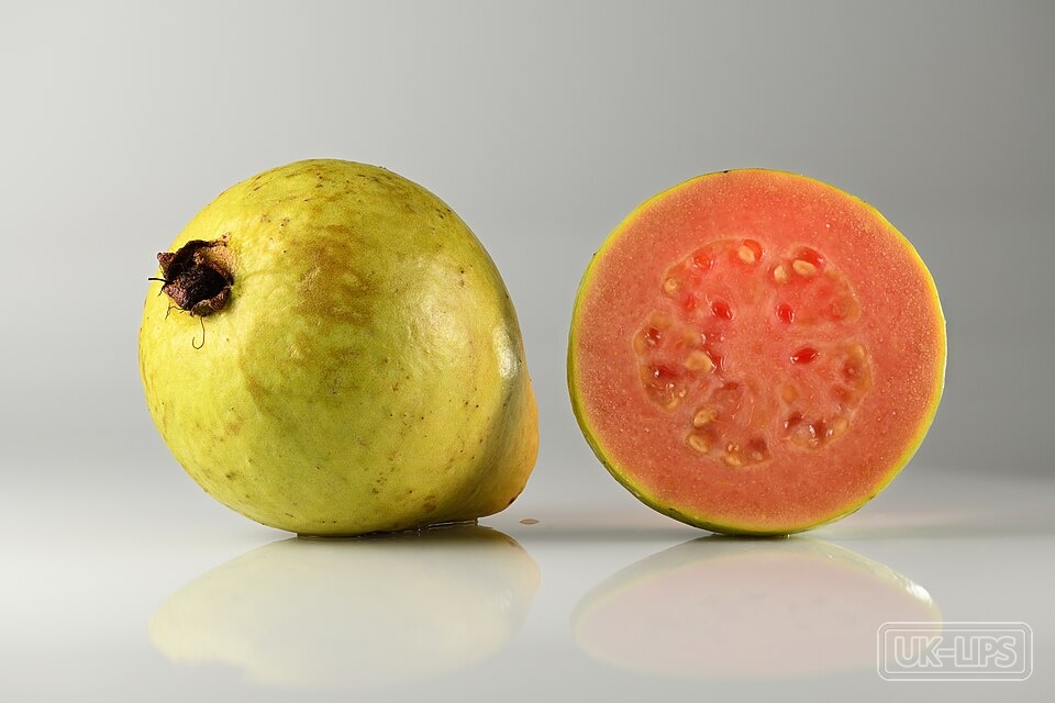 Guava Extract — Guava extract is obtained from the fruit, leaves or seeds of the guava tree (Psidium gu… | UK Lips ingredient guide