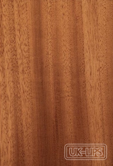 Mahogany wood — Mahogany wood comes from the Swietenia mahagoni tree, a tropical hardwood native to the… | UK Lips ingredient guide