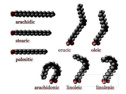 Oleic Acid — Oleic acid is most commonly sourced from plant oils such as olive oil, where it occurs … | UK Lips ingredient guide