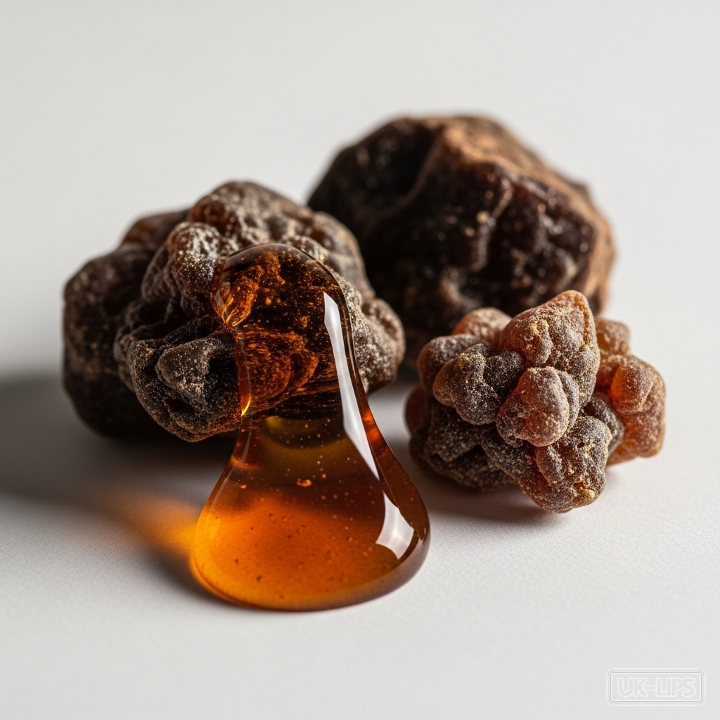 Oud — Oud is a dark, fragrant resin produced naturally by the Aquilaria tree when its wood be… | UK Lips ingredient guide