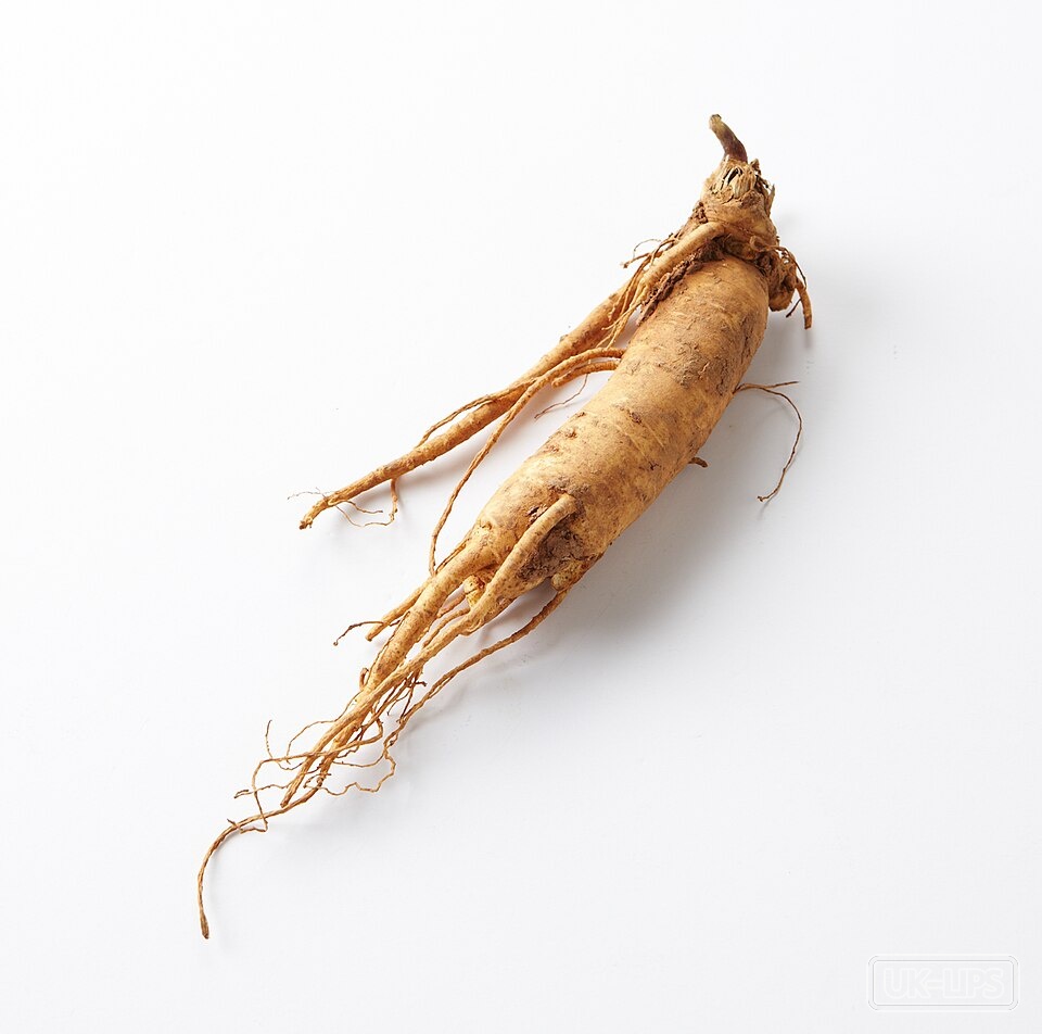 Panax Ginseng Root Extract — Panax Ginseng Root Extract comes from the roots of the Panax ginseng plant, a slow-grow… | UK Lips ingredient guide