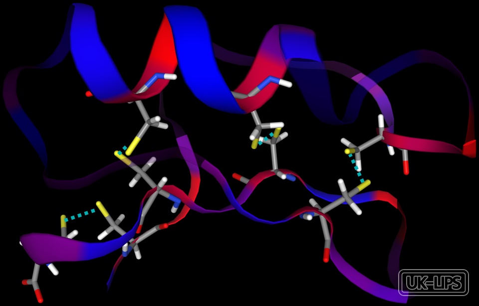 Peptides — Peptides used in cosmetics are typically produced in laboratories through the controlle… | UK Lips ingredient guide