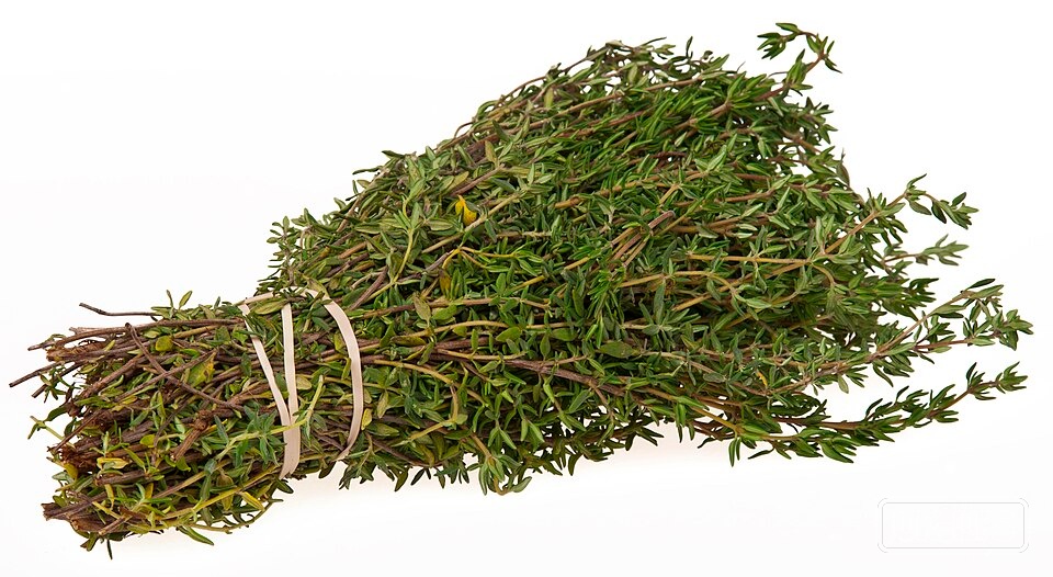 Thyme — Thyme (Thymus vulgaris) is a low-growing perennial herb native to the Mediterranean. Th… | UK Lips ingredient guide