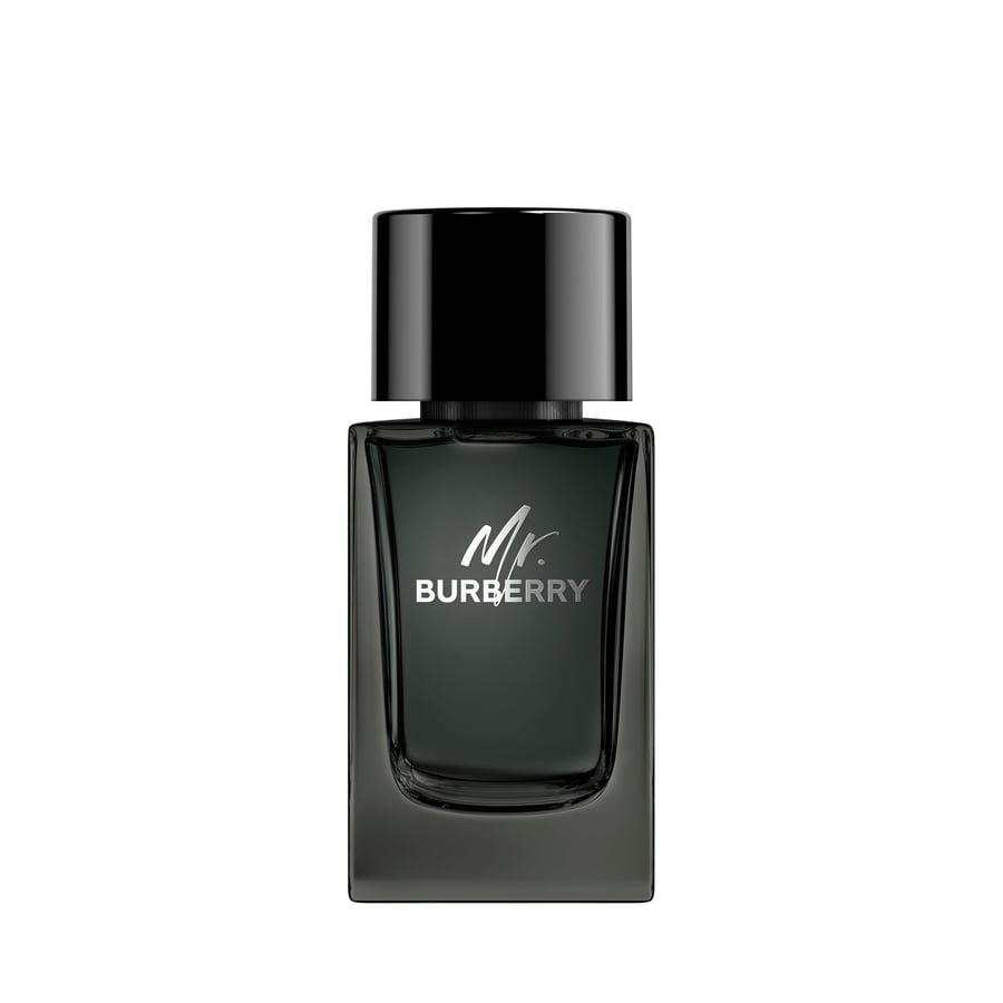 Burberry Burberry Mr. Burberry Eau de Parfum 100ml Spray