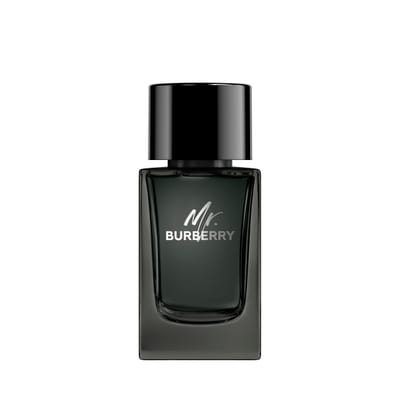 Burberry Burberry Mr. Burberry Eau de Parfum 100ml Spray