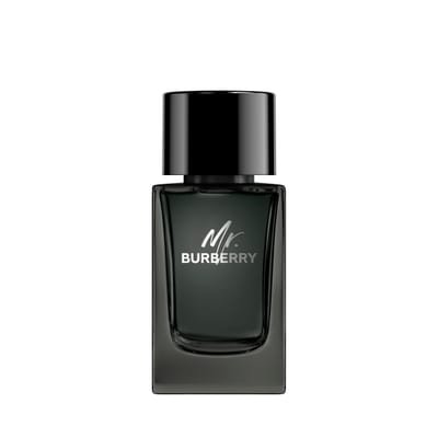 Burberry Burberry Mr. Burberry Eau de Parfum 100ml Spray
