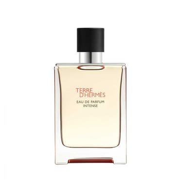 Hermes Hermes Terre D'hermès Eau De Parfum Intense 100ml