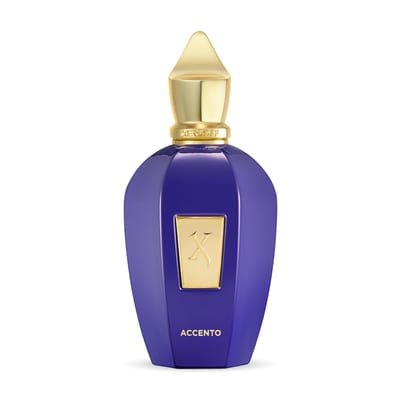 Xerjoff Xerjoff Accento Eau de Parfum 100ml Spray